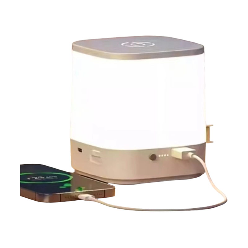 Прикроватный аккумуляторный светильник с тактильным включением (Пэт-Пэт Лайт)